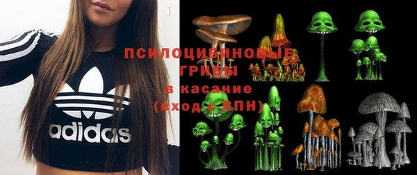 мескалин Алексеевка