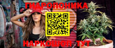 трава Донецк