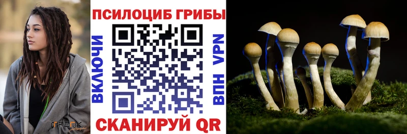 Псилоцибиновые грибы Cubensis  KRAKEN ССЫЛКА  Михайловск 