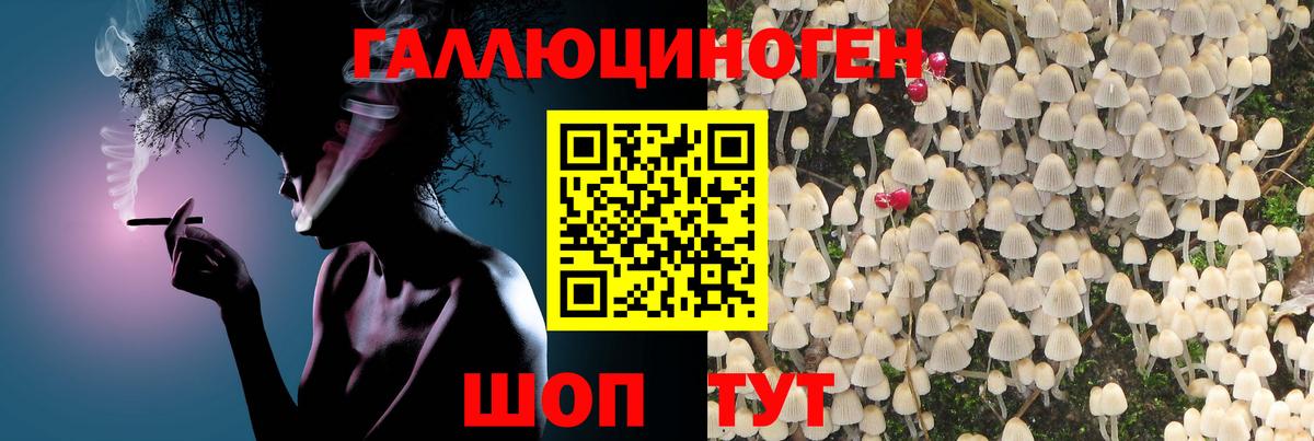 Галлюциногенные грибы прущие грибы  Вход с VPN  Михайловск  Галлюциногенные грибы MAGIC MUSHROOMS 
