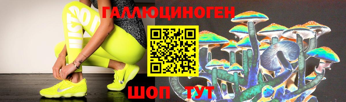 Галлюциногенные грибы GOLDEN TEACHER Михайловск