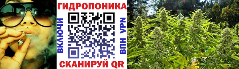 наркота  Михайловск  Бошки марихуана марихуана 